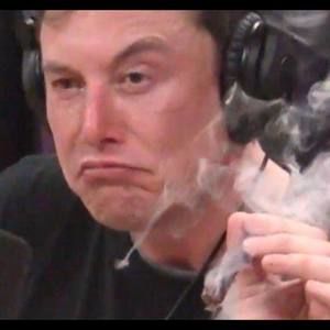 Meet your Posher, Tom